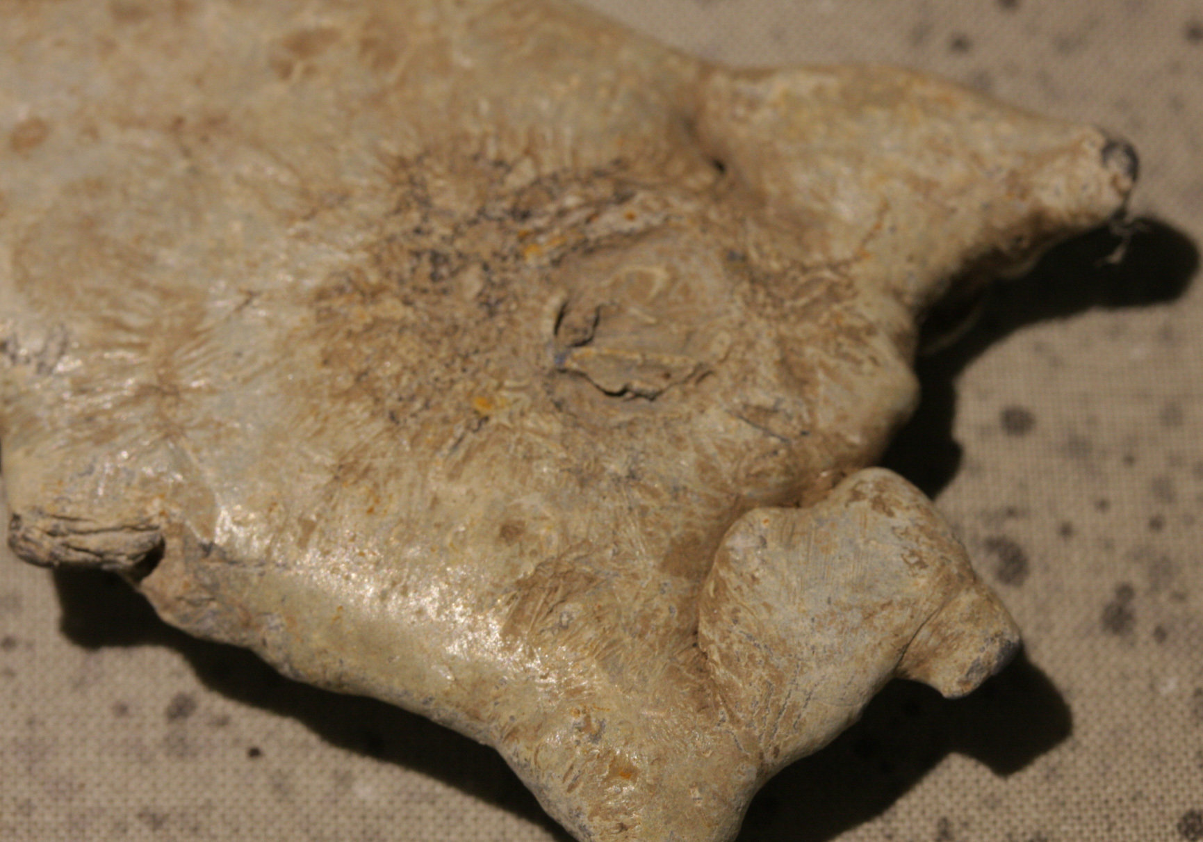 JUST ADDED ON 10/5 - ANTIETAM - THE EAST WOODS - WENTWORTH MILITARY ACADEMY COLLECTION - Really Large Piece of Lead found in 1956