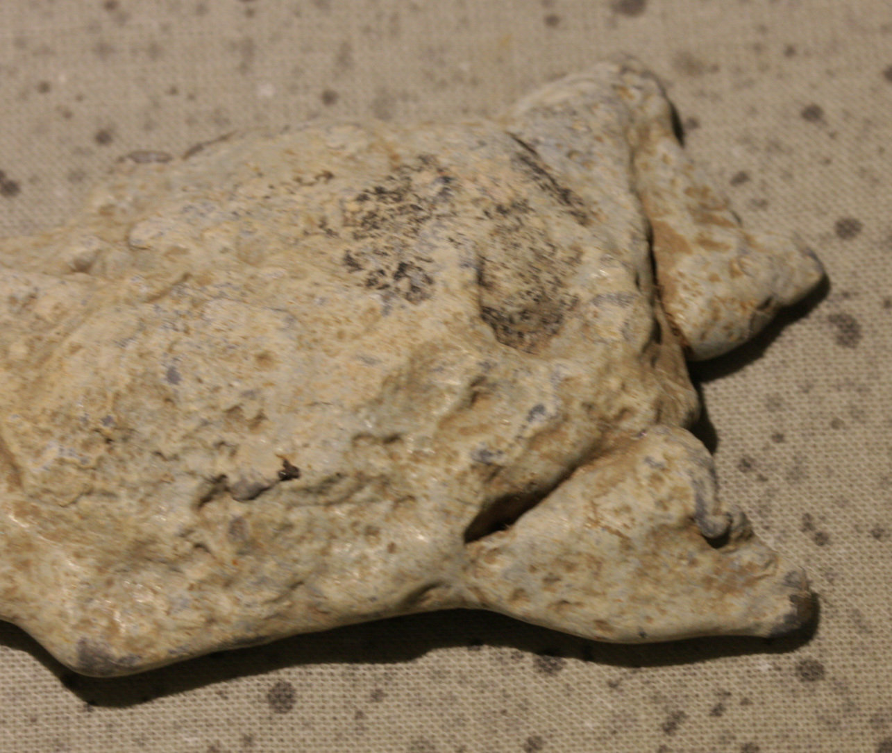 JUST ADDED ON 10/5 - ANTIETAM - THE EAST WOODS - WENTWORTH MILITARY ACADEMY COLLECTION - Really Large Piece of Lead found in 1956