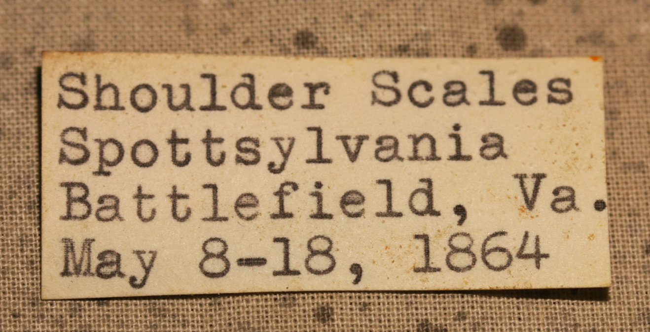 JUST ADDED ON 3/7 - THE BATTLE OF SPOTSYLVANIA - Three Pieces of Soldier's Shoulder Scales