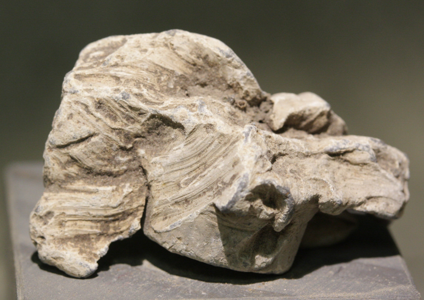 JUST ADDED ON 1/10 - GETTYSBURG - LITTLE ROUND TOP - ROSENSTEEL FAMILY - Awesome High Impact Fired Bullet