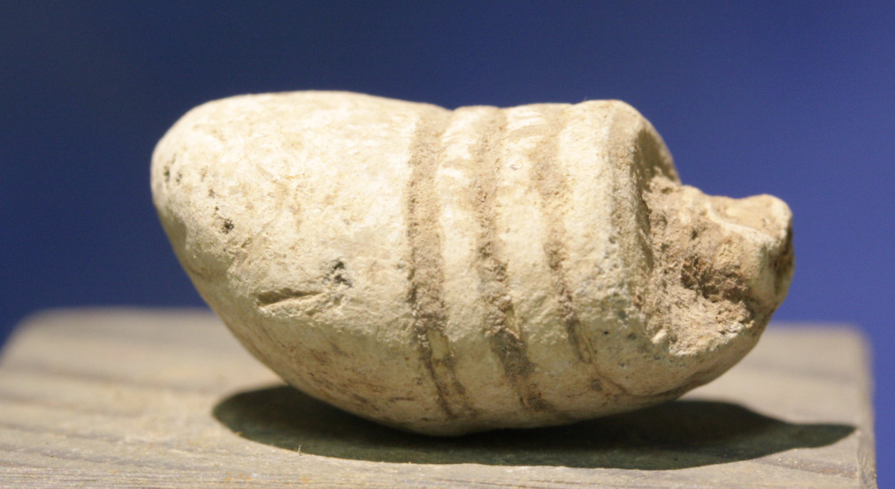 JUST ADDED ON 1/24 - GETTYSBURG - THE TROSTLE FARM - ROSENSTEEL FAMILY - Fired Type I William's Cleaner Bullet GR-IRTFH56