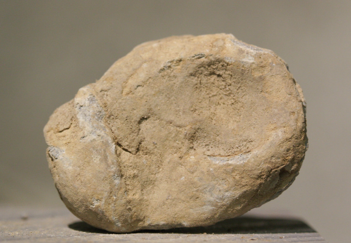 JUST ADDED ON 1/24 - GETTYSBURG - TOP OF DEVIL'S DEN - ROSENSTEEL FAMILY - Rear Impact Fired Bullet
