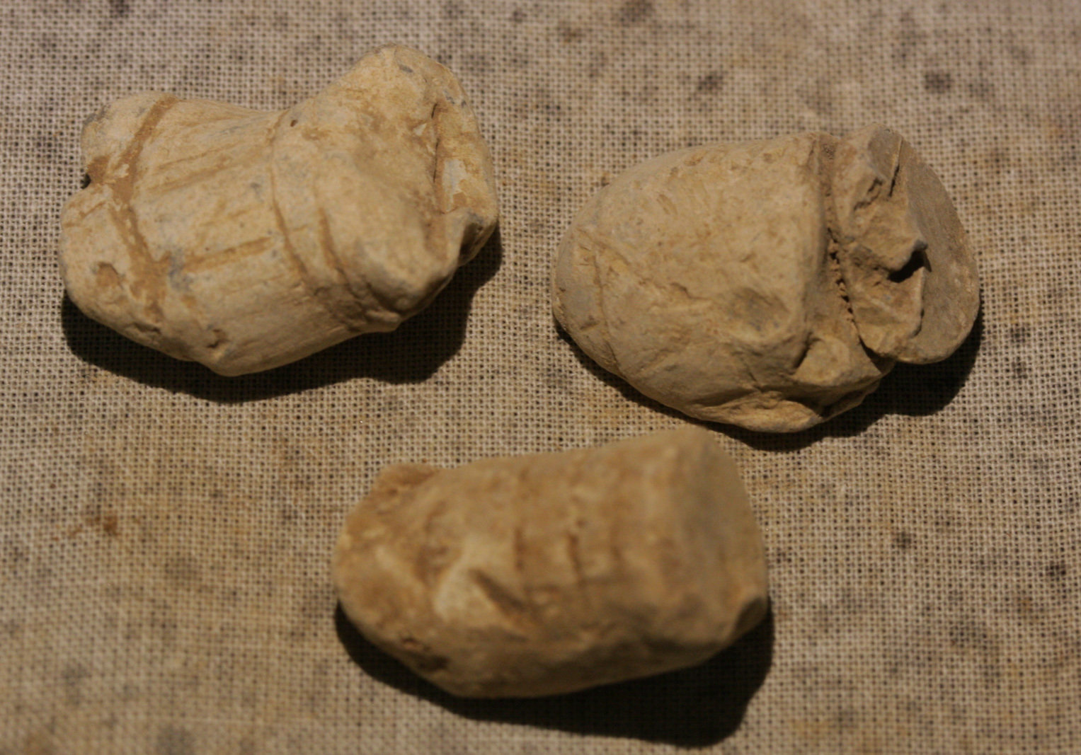 JUST ADDED ON 3/7 - THE BATTLE OF CEDAR CREEK - Three Fired Bullets WB-CCK11