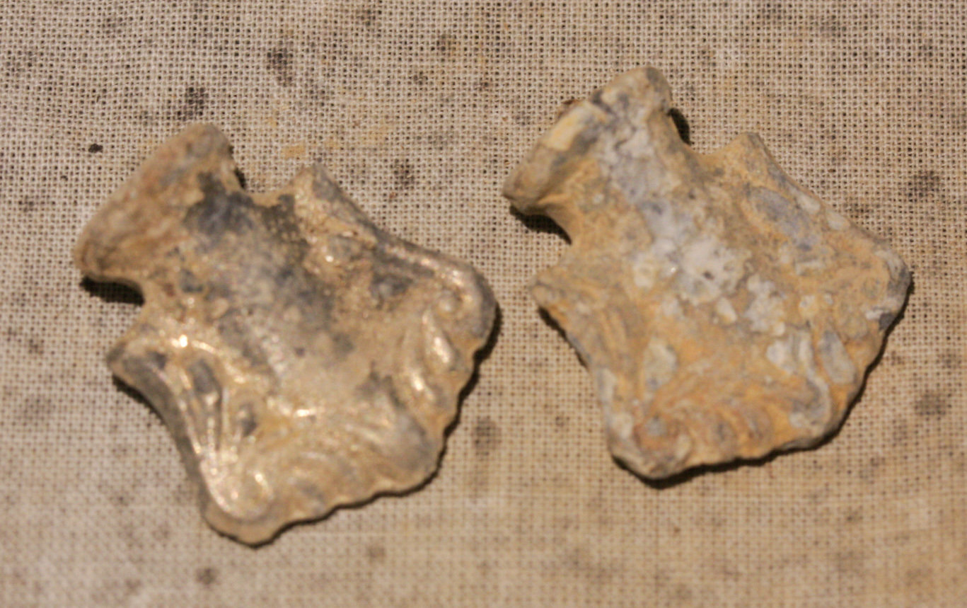 JUST ADDED ON 3/21 - THE BATTLE OF PIEDMONT - Two Unknown Relics WB-PDM23