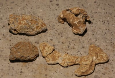 JUST ADDED ON 3/28 - THE BATTLE OF SPOTSYLVANIA - Small Group of Relics, Including two with Teeth Marks - from a Relic Hunter's Old Boxed Collection JUST ADDED ON 3/28 - THE BATTLE OF SPOTSYLVANIA - Small Group of Relics, Including two with Teeth Marks - from a Relic Hunter's Old Boxed Collection