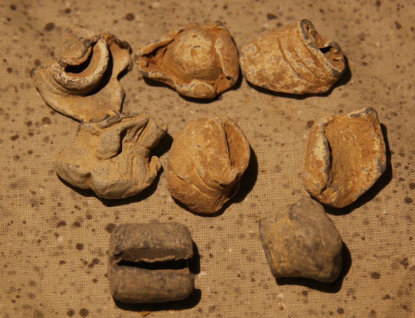 JUST ADDED ON 5/16 - BATTLE OF FORT FISHER - Group of 7 Fired Bullets & Lead Relic - Some Mushroomed / Partial Mushroomed B-FF01