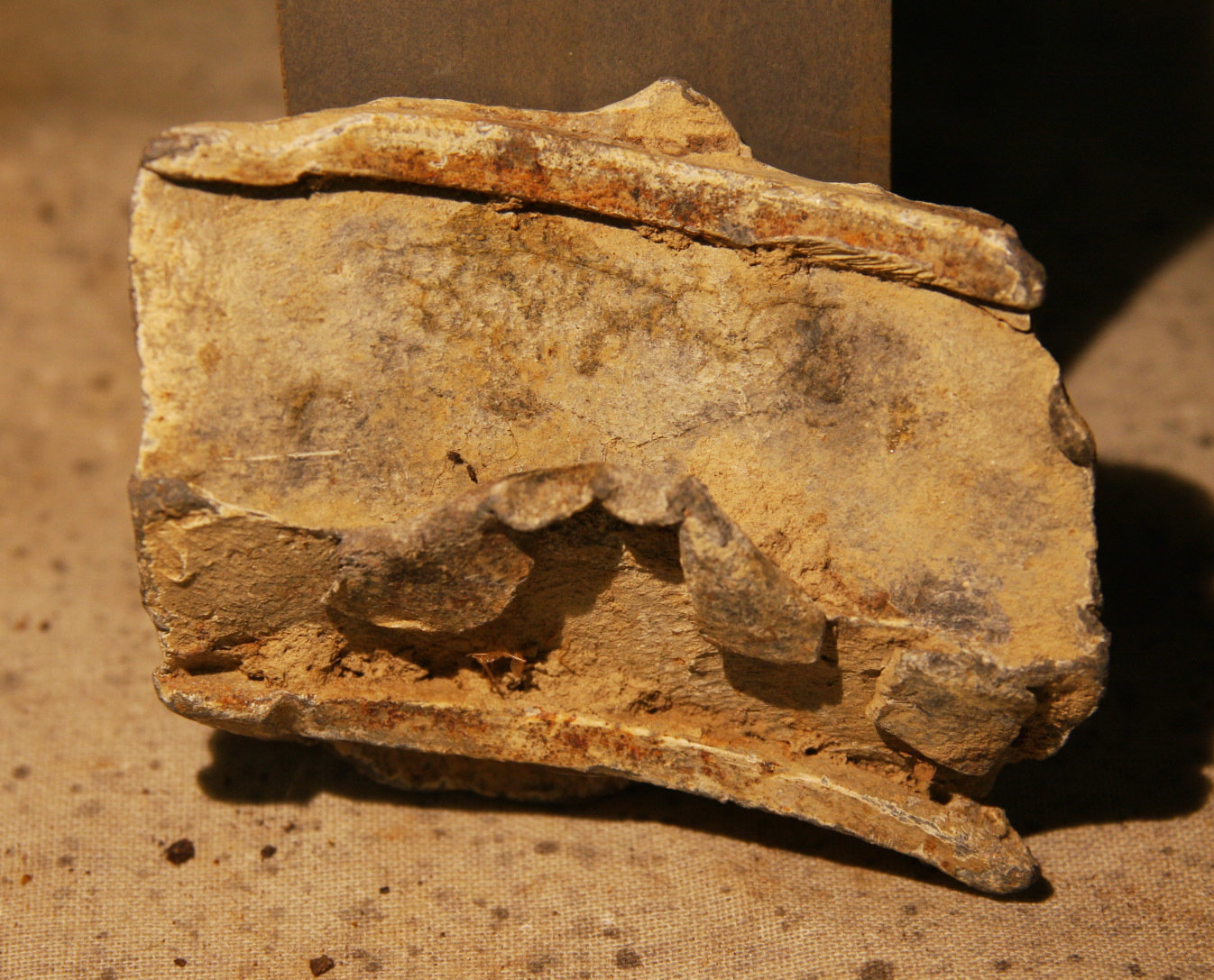 JUST ADDED ON 5/23 - THE BATTLE OF GLENDALE / WHITE OAK SWAMP - Fragment of the Sabot from a Hotchkiss Artillery Shell