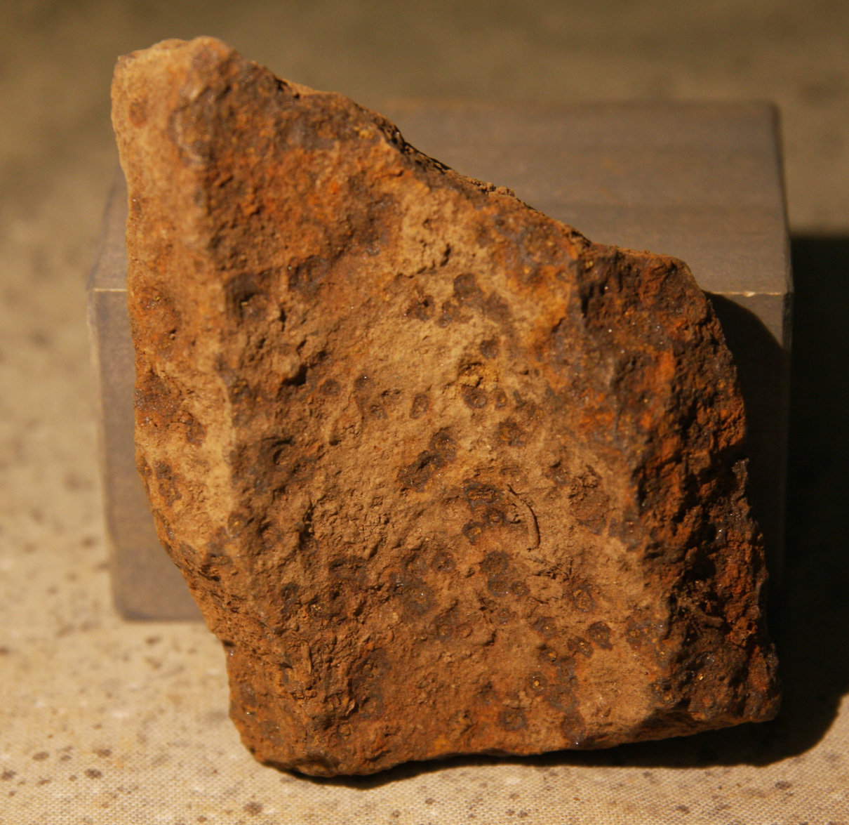 JUST ADDED ON 6/6 - THE BATTLE OF GETTYSBURG / WEST OF SEMINARY RIDGE / PUMPING STATION ROAD - Artillery Shell Fragment GR-PS01