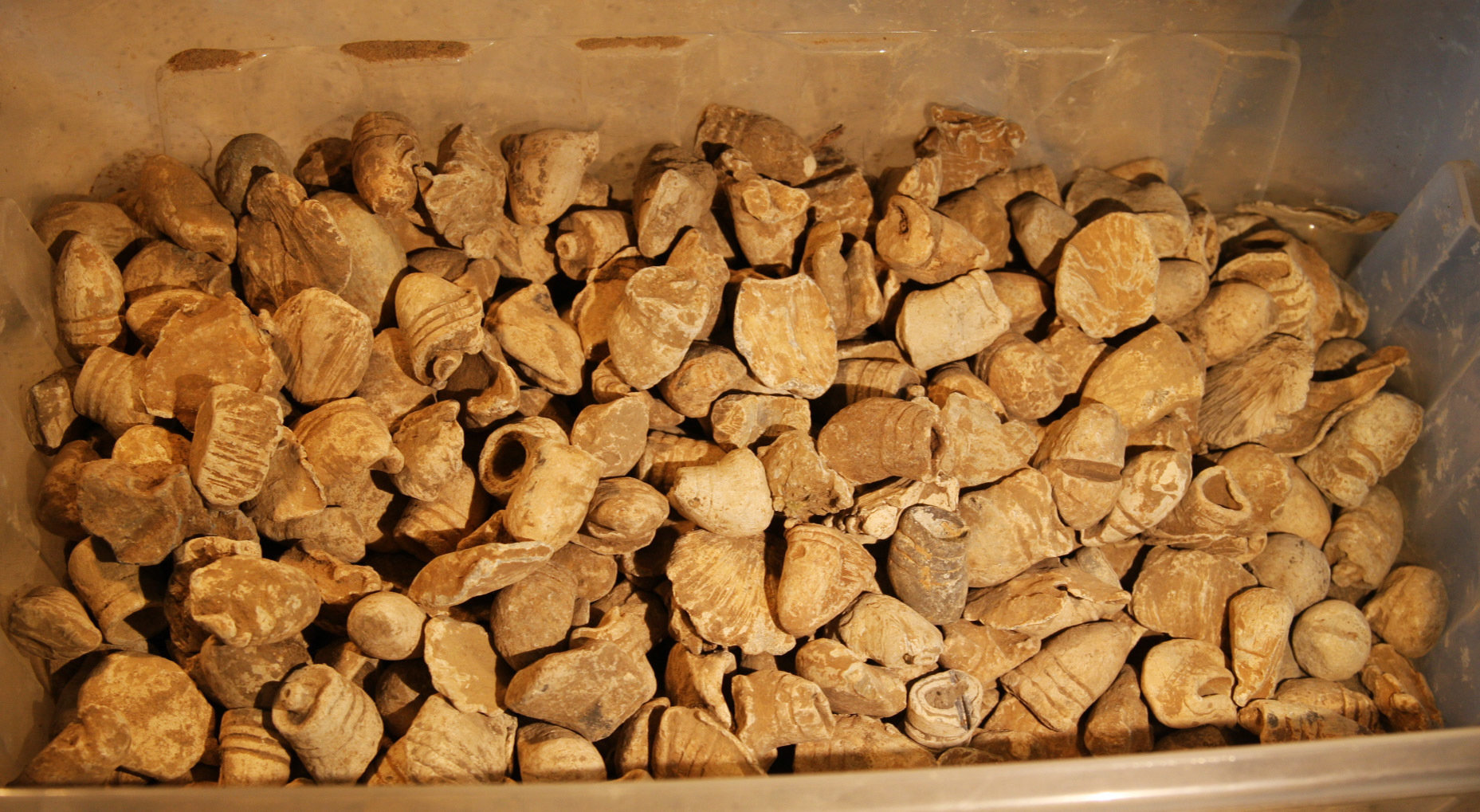 GETTYSBURG / CULP'S HILL - Fired Bullet - (Discounted Price if you Purchase Two or More) Z-CHF