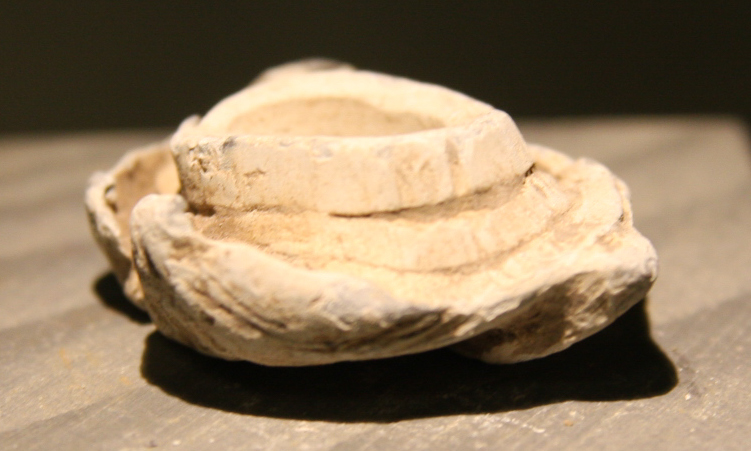 JUST ADDED ON 1/22 - GETTYSBURG - LITTLE ROUND TOP - ROSENSTEEL FAMILY - Mushroomed Fired Bullet