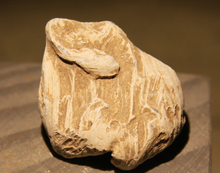 JUST ADDED ON 1/22 - GETTYSBURG - LITTLE ROUND TOP - ROSENSTEEL FAMILY - Mushroomed Fired Bullet