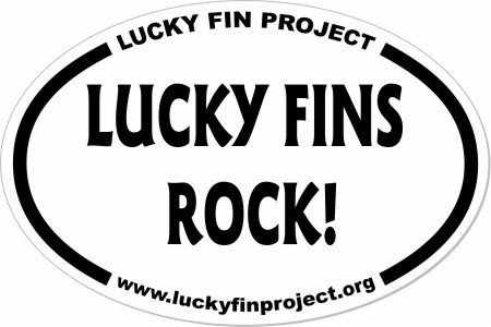 Lucky Fins Rock 4 x 6 inch Oval Bumper Sticker LFR-Bump