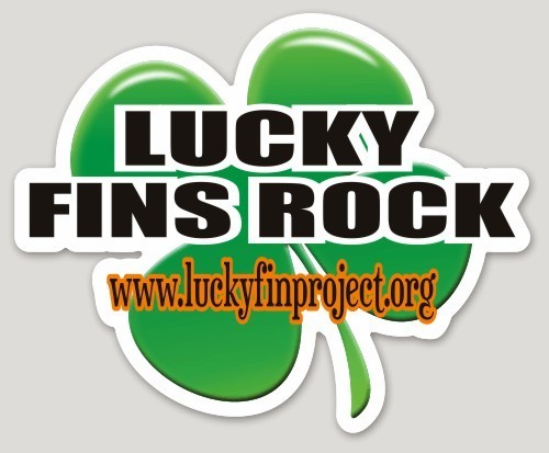 Lucky Fins Rock Clover 4.11" x 5.06" Die-Cut Bumper Sticker LFRClover-BUMP