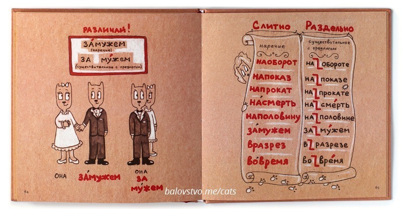 Русский язык в котах. Анна Беловицкая