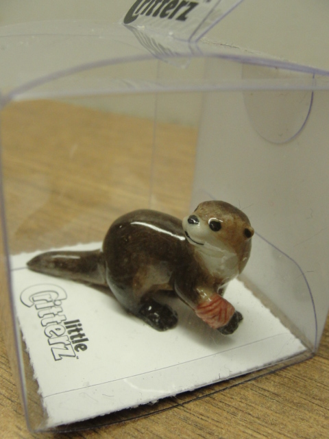 Otter with Bandage Liitte Critterz in Protective Case