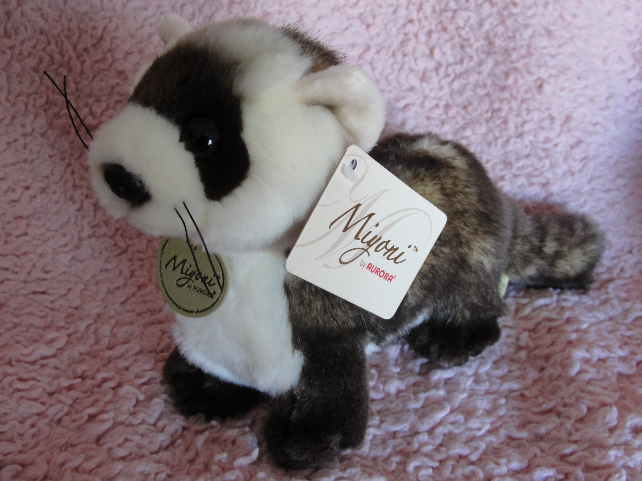 Ferret Left Side