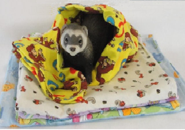 Ferret Snuggle Sleeper Blanket Ferret Snuggle Sleeper Blanket
