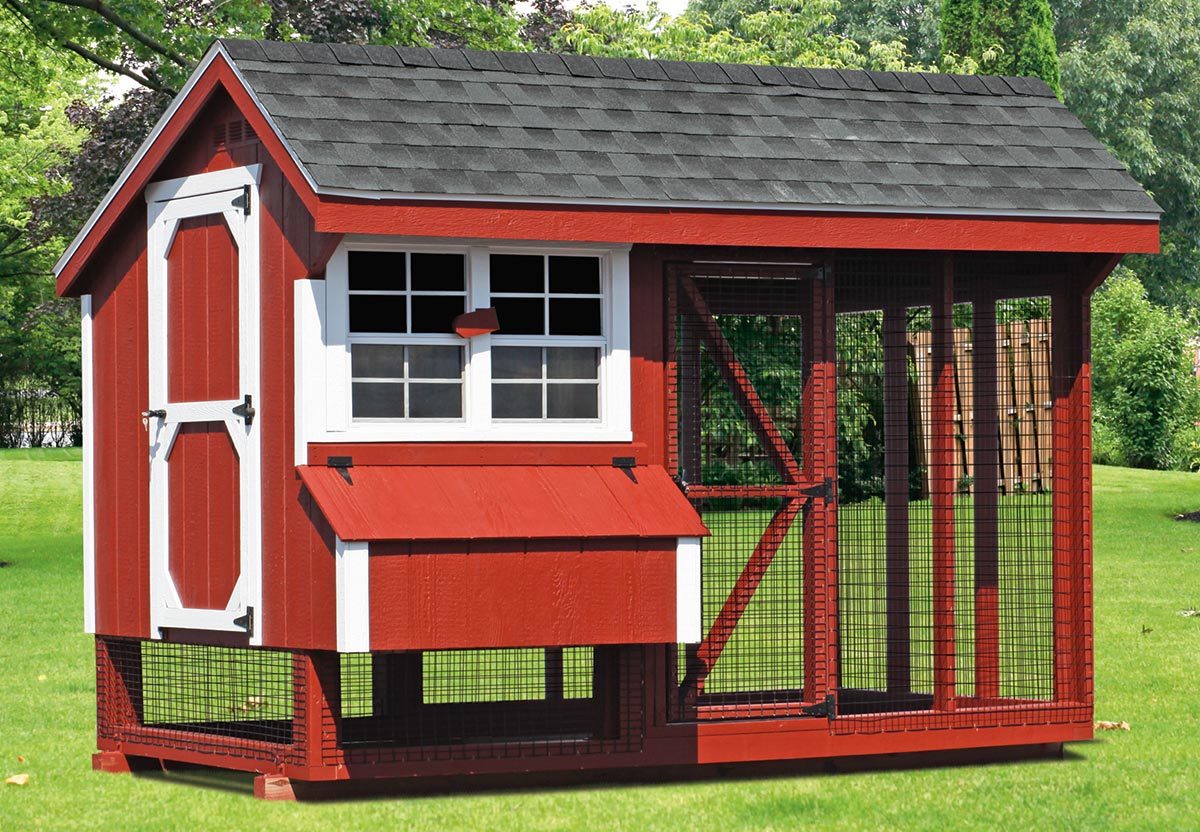 Amish Chicken Coops