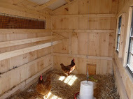 Quaker Coop 6x6