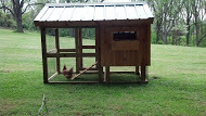 Quaker Coop 5x8 with run