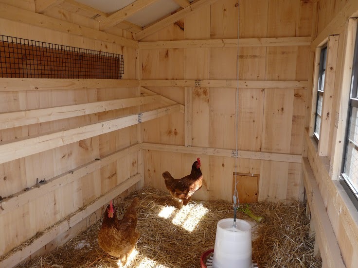 Quaker Coop 7x10