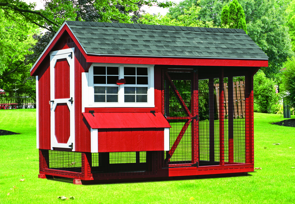 IHS Quaker 6×10 Combo Coop | Combination – Store – large chicken coops