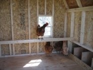 4x6 Colonial Gable Coop Kit