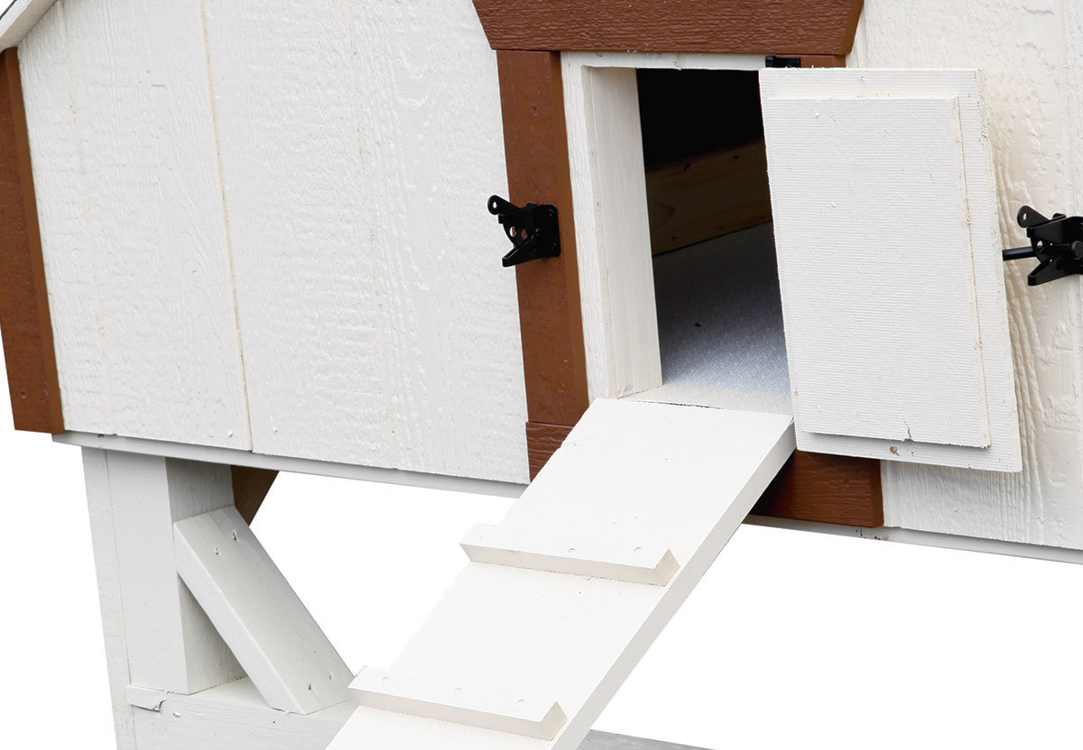 Dutch style coop chicken door