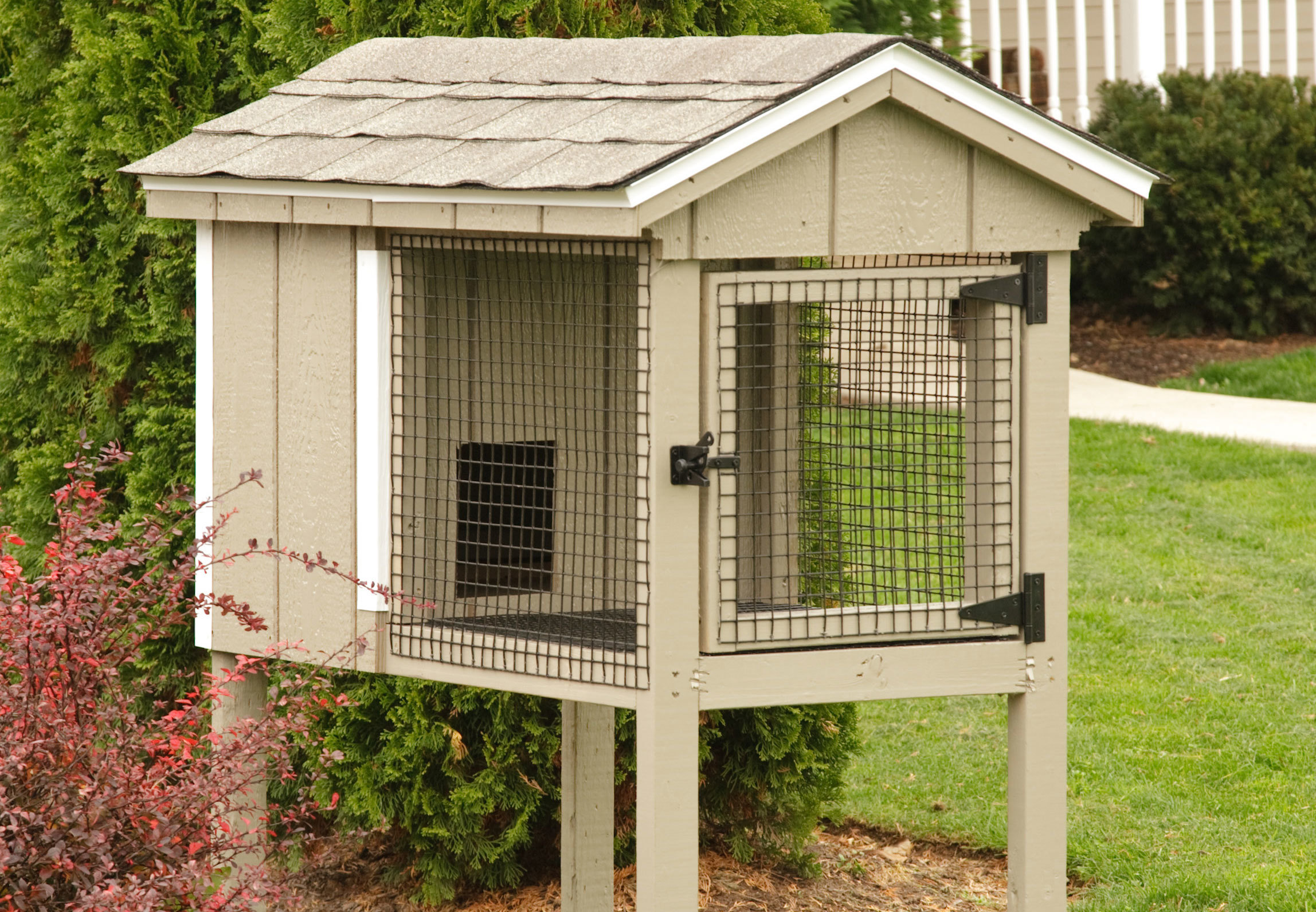 2x4 Single Rabbit Hutch with Painted Siding