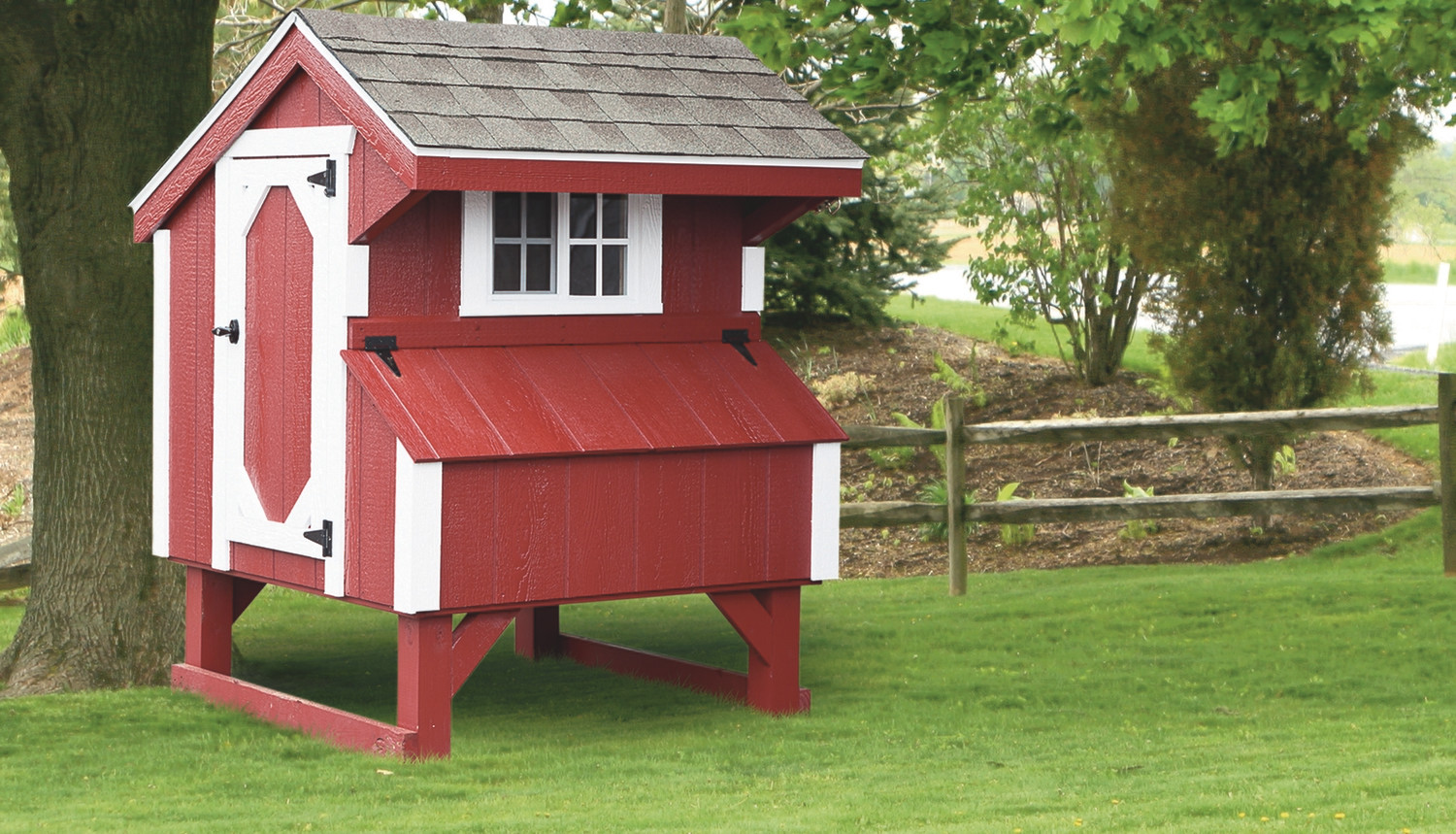 Amish Chicken Coops