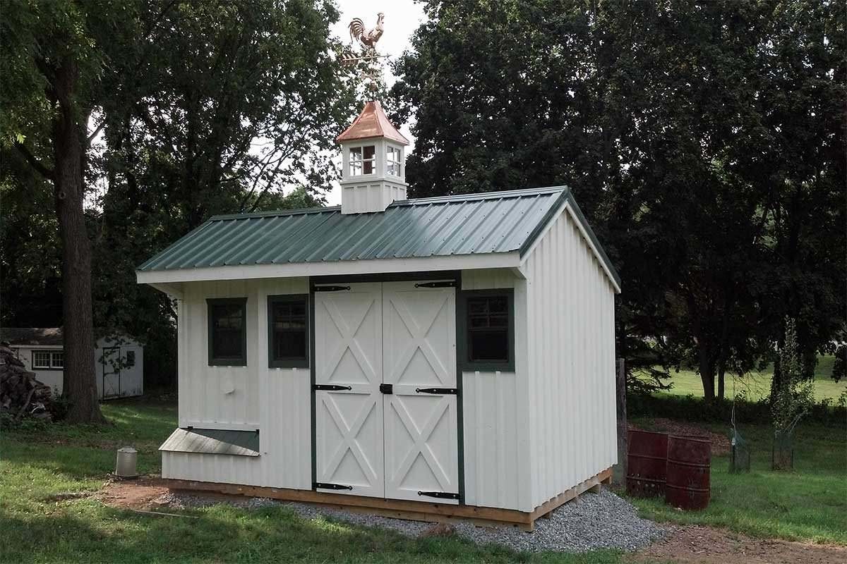 Store - Large Chicken Coops