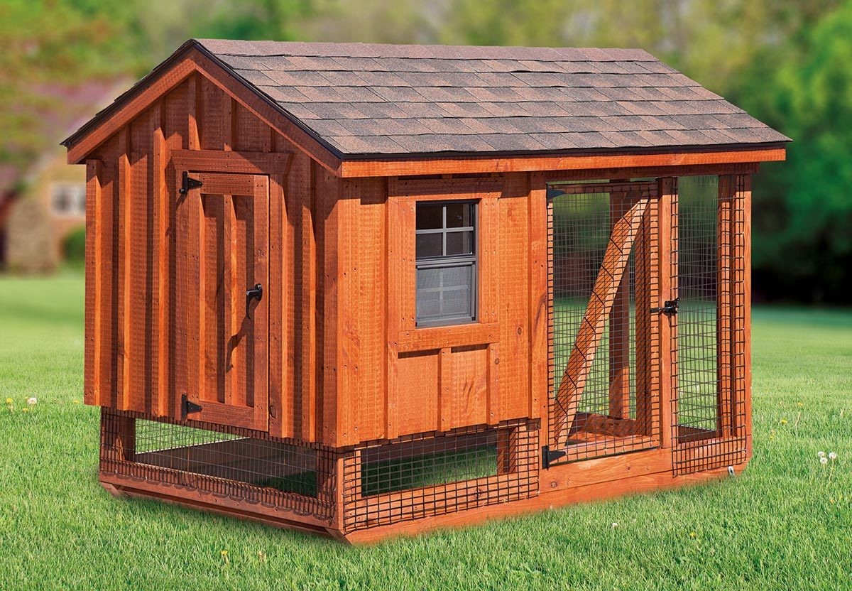 Free Chicken Coops Plans: A Frame Chicken Coop For 10 Chickens - 997213478