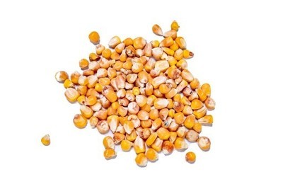 Whole Maize - tonne