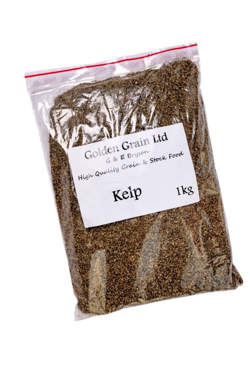 Kelp per kg KELP