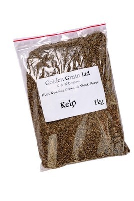 Kelp per kg
