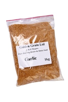 Garlic
