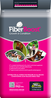Fiber Boost 00001