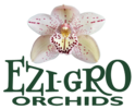 Ezi-Gro Orchids