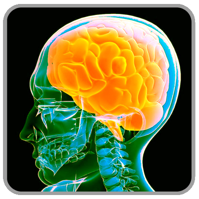 Aspergers Syndrome - CPD Accredited Aspergers Syndrome - CPD Accredited