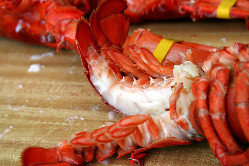Cooked Lobster Cooked Lobster