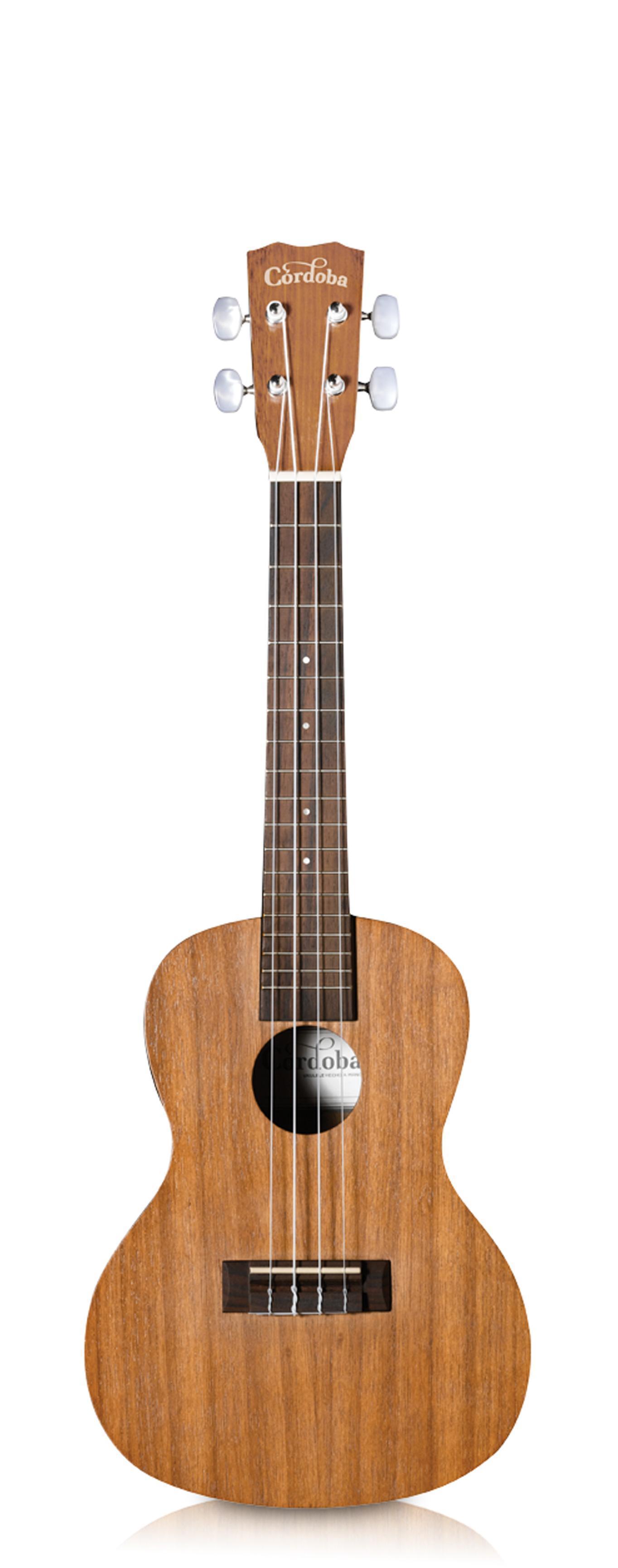 Rosewood Fingerboard, Aquila Nylgut Strings