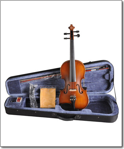 Aileen Acoustic Electric Violin - VE 102B - FOAMED CASE + BOW + ROSIN SK-2R0T-GE9S
