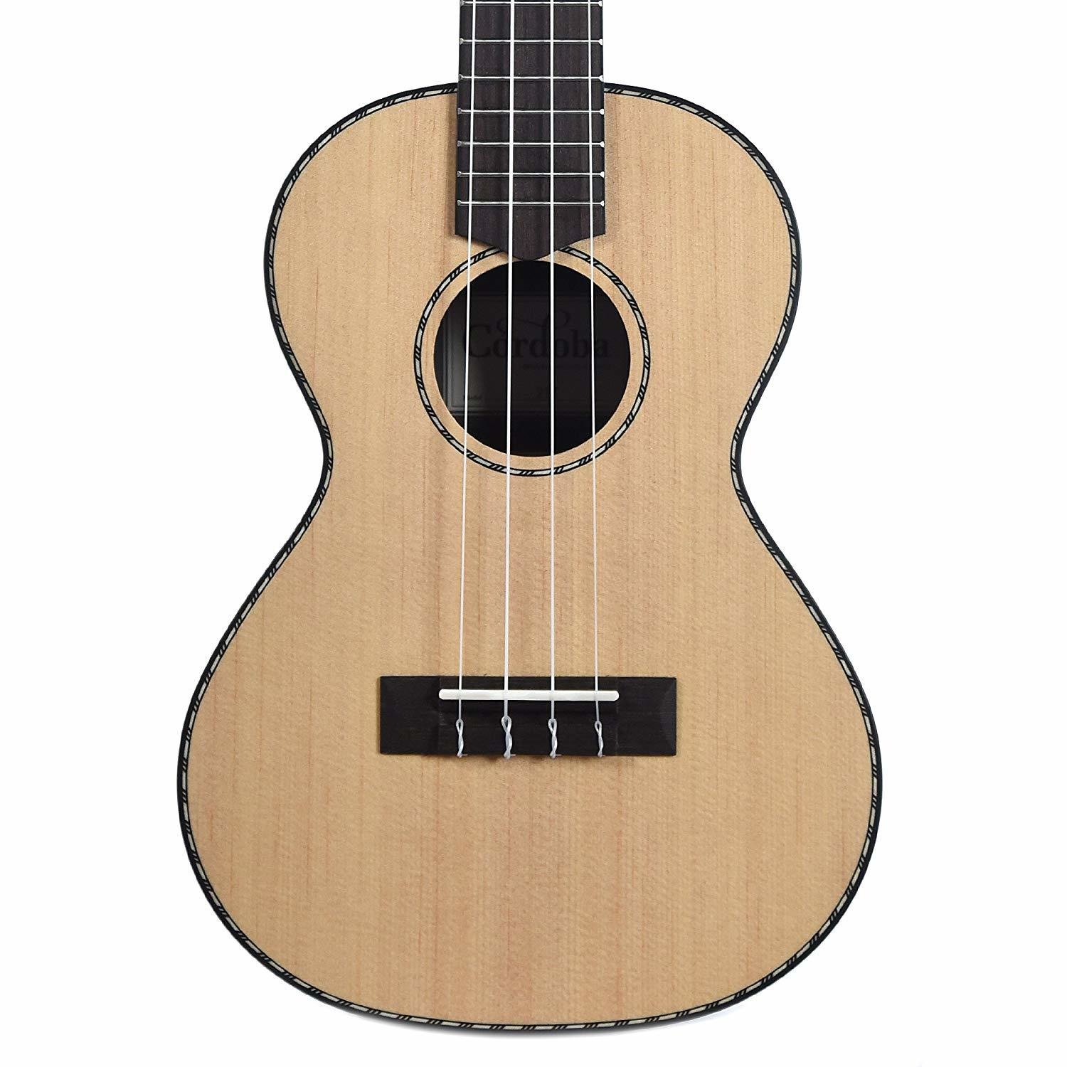 Solid Spruce top