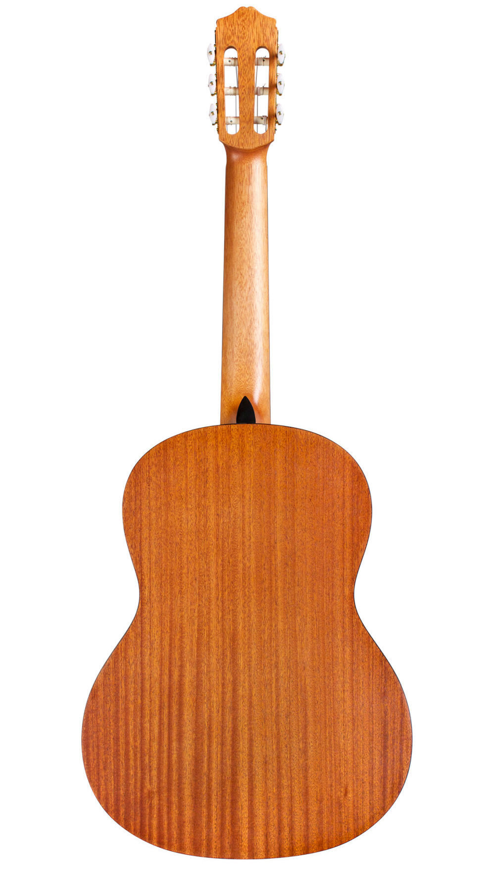 Mahogany back and sides