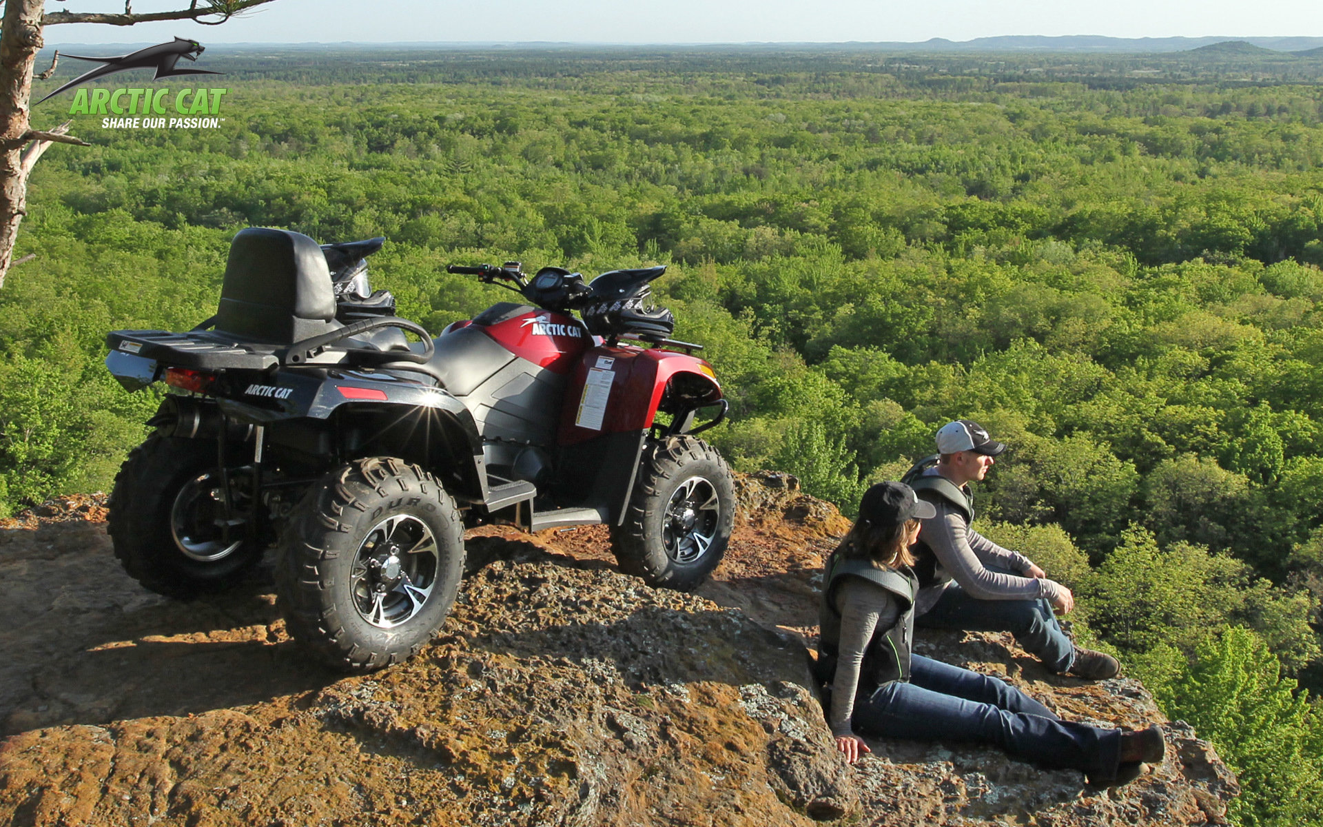 Arctic Cat 700 LIMITED EPS
