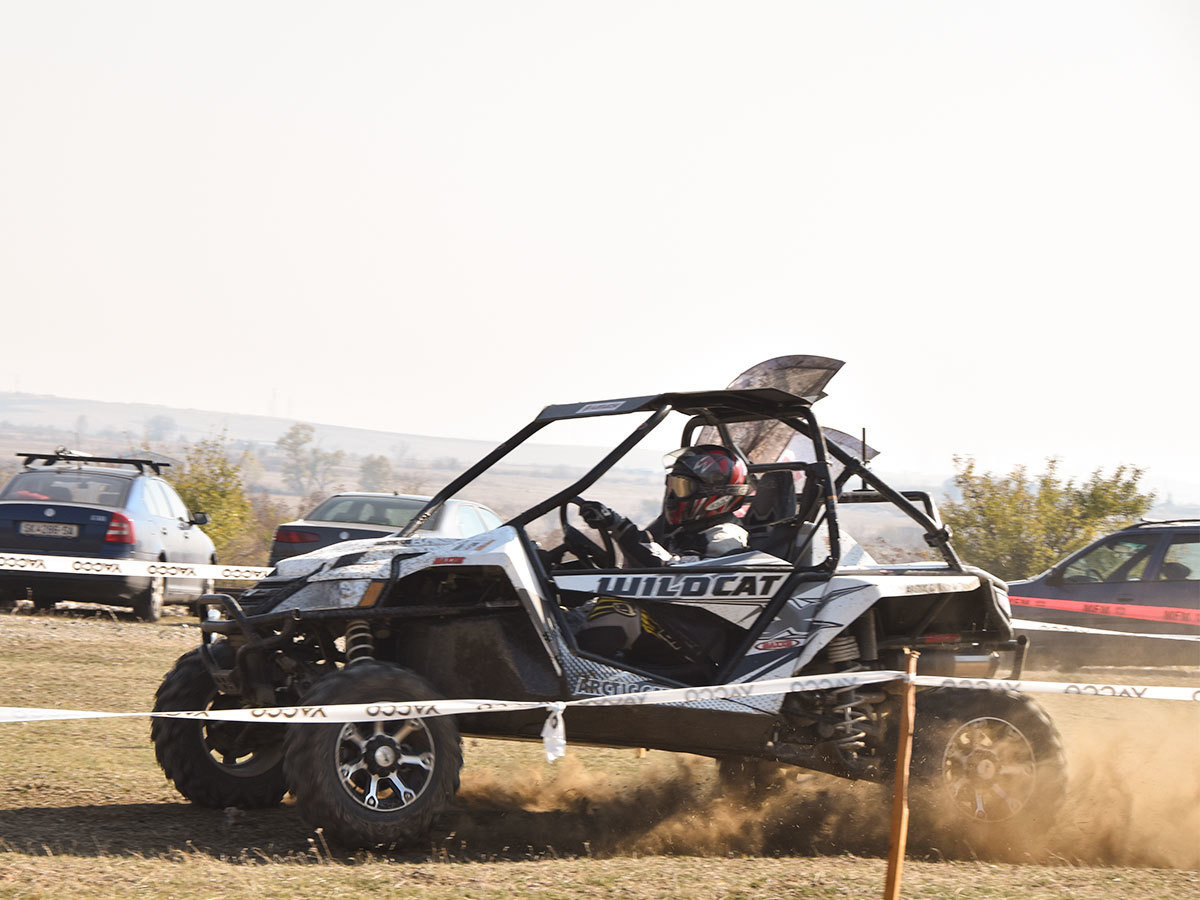 Arctic Cat WILDCAT X