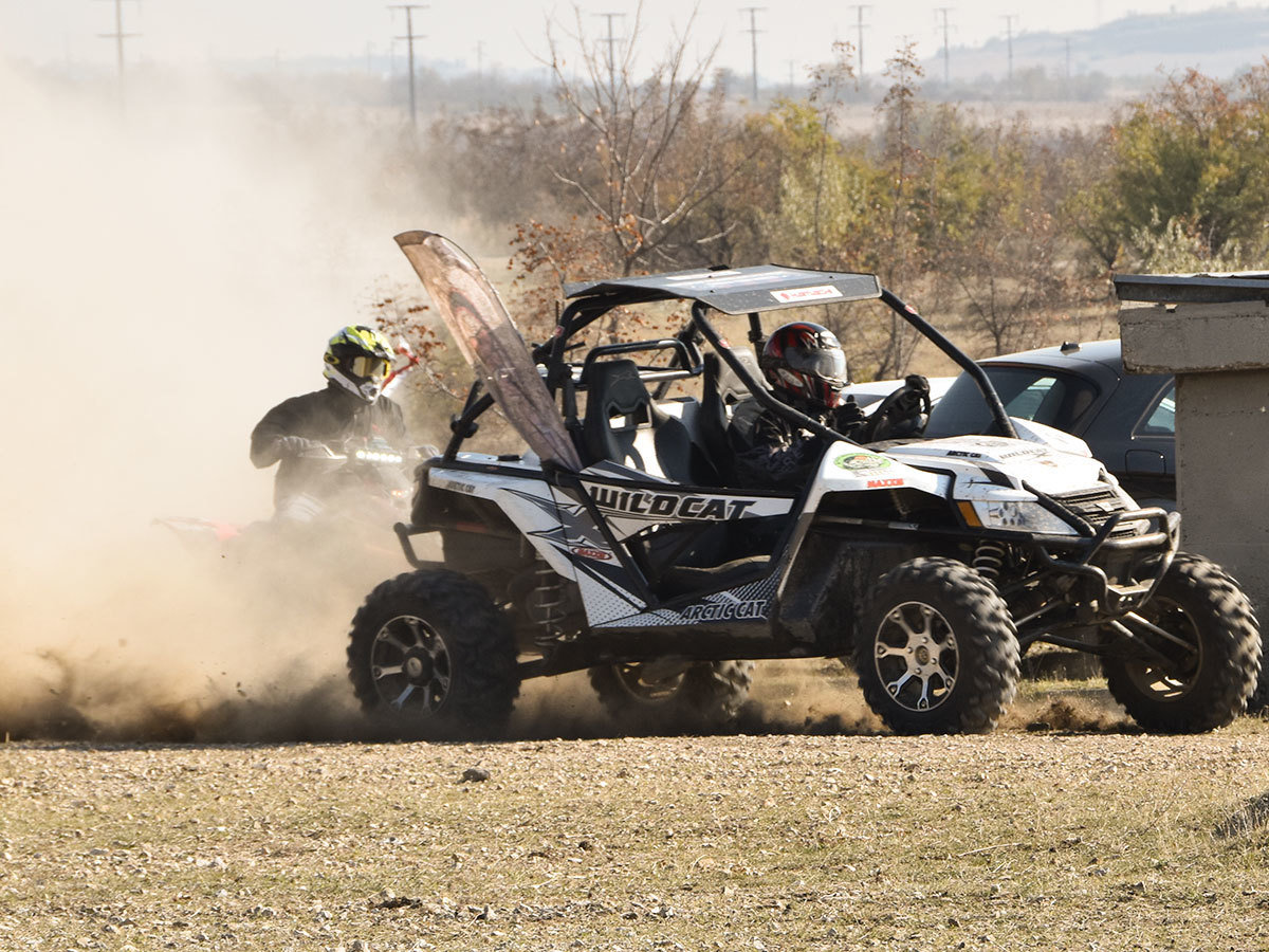 Arctic Cat WILDCAT X