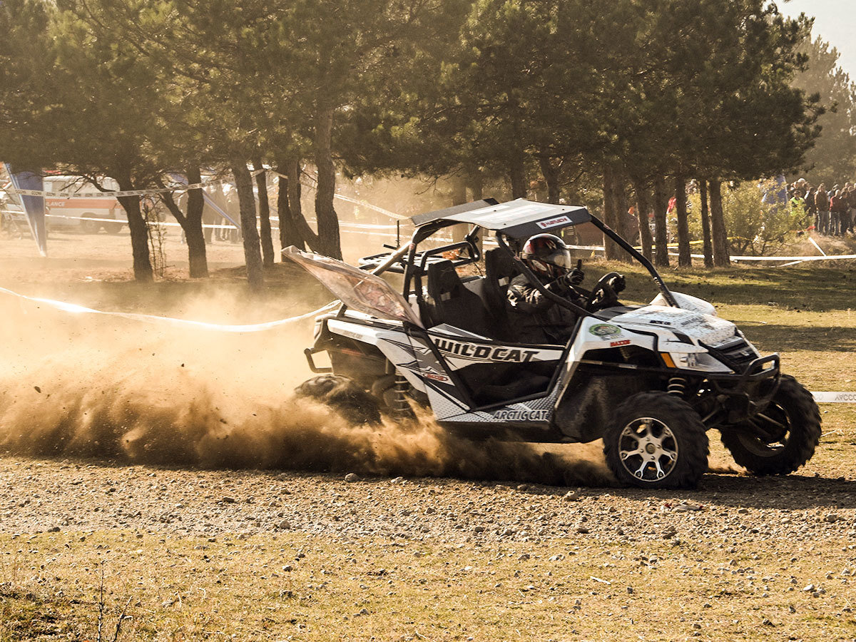 Arctic Cat WILDCAT X