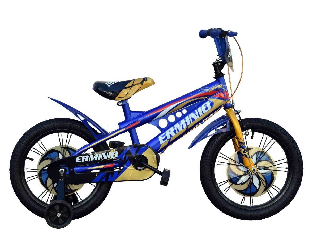 ERMINIO 1