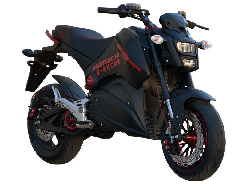Hamachi E-RACER X 17814